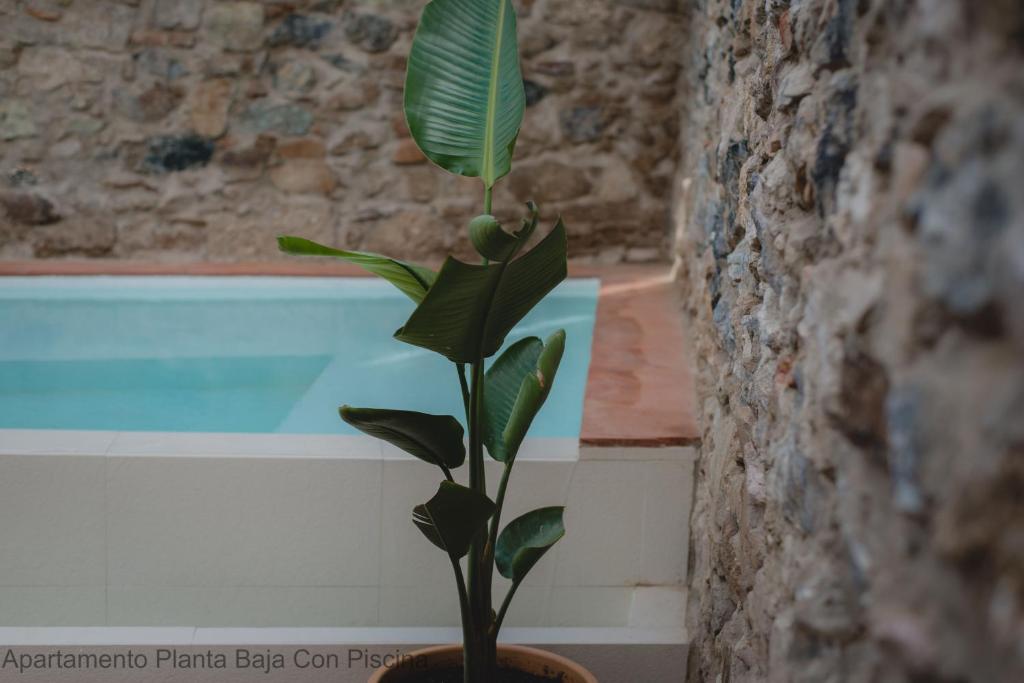 Apartamentos Durán Pizarro 1930 - 15