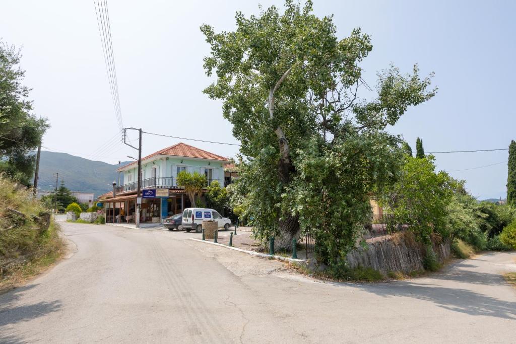 un albero seduto sul ciglio di una strada di sparrow apartment (Σπουργιτης) a Skoulikádhon