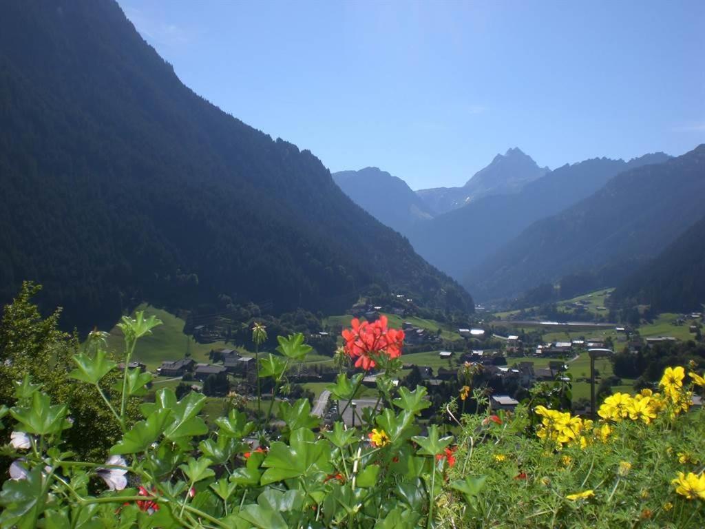 a view of a valley with flowers and mountains at Haus Baleisa in Gaschurn