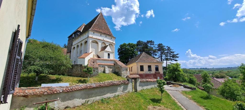 Příroda nedaleko hostelu