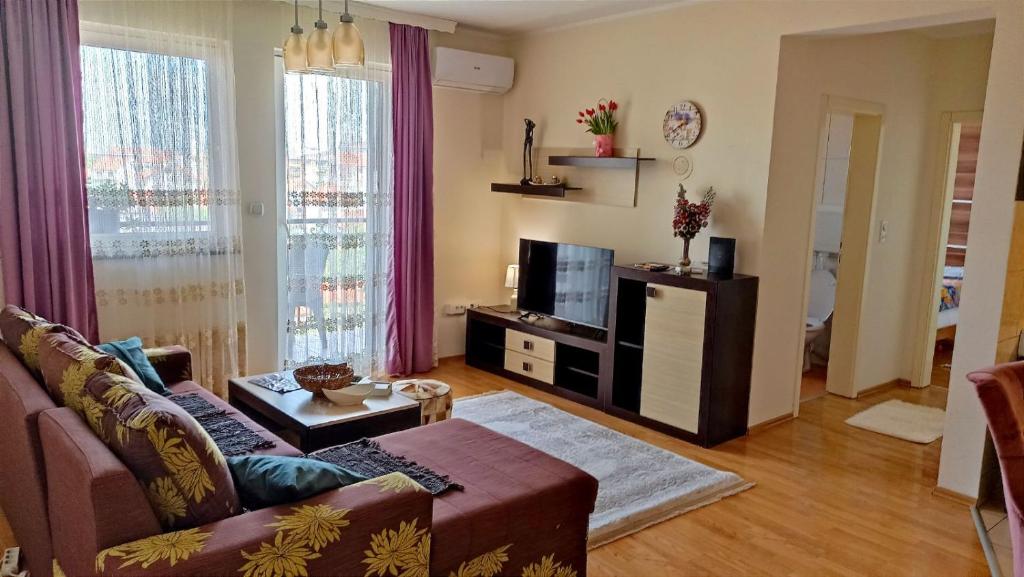 ein Wohnzimmer mit einem Sofa und einem TV in der Unterkunft Dado in Bijeljina