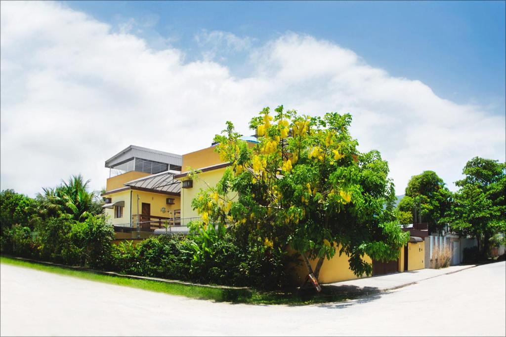 une maison jaune avec un arbre devant elle dans l'établissement Pousada Solarium UNIDADE 1 ECONOMICA-BÁSICA, à Guarujá