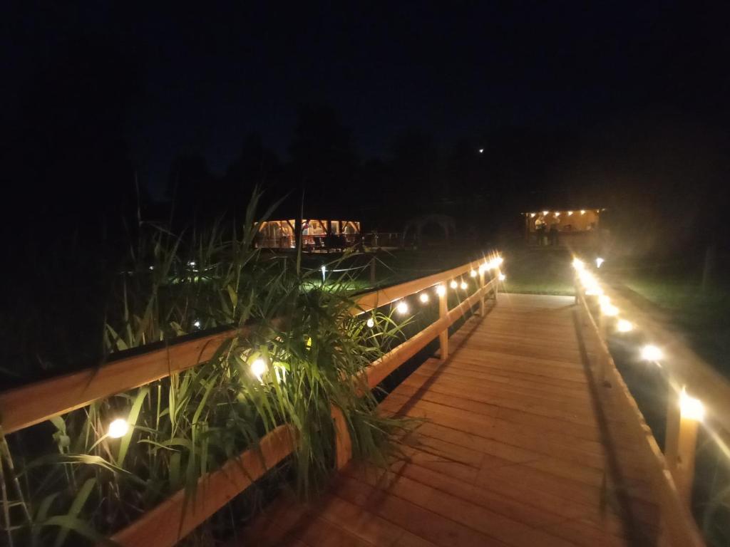 un paseo marítimo de madera con luces encendidas por la noche en Biesiada pod lasem, en Kielce