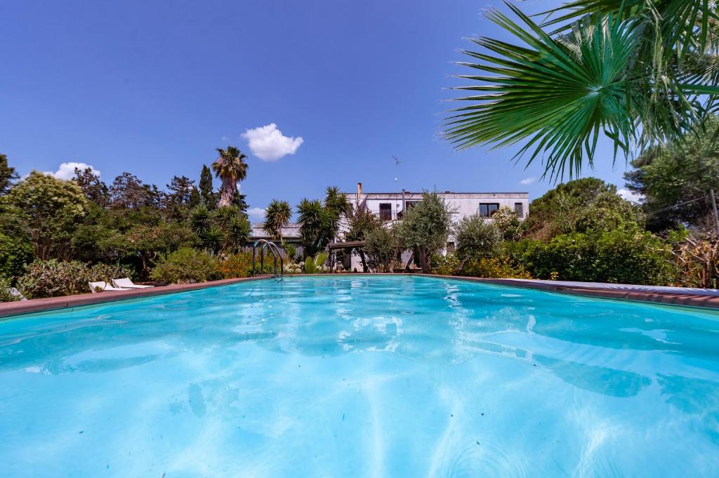 a large blue swimming pool with a palm tree at Villa Olivia pool tennis spa - C in Lecce