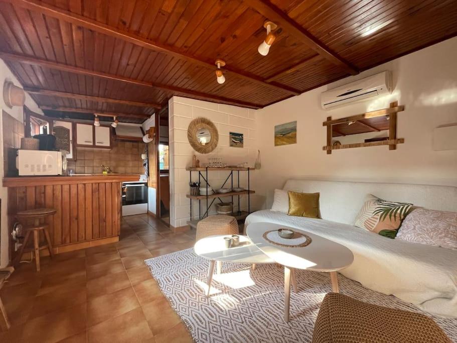 un salon avec un lit et une cuisine dans l'établissement Casita Lola, à Lucciana