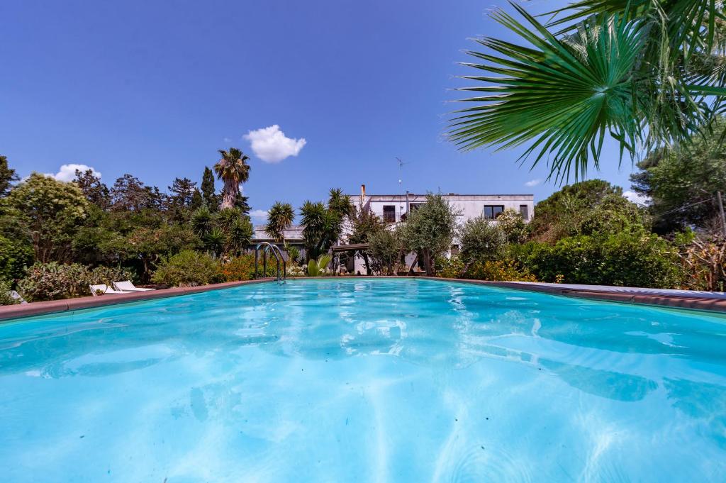 a large blue swimming pool with a palm tree at Villa Olivia pool tennis spa - D in Lecce