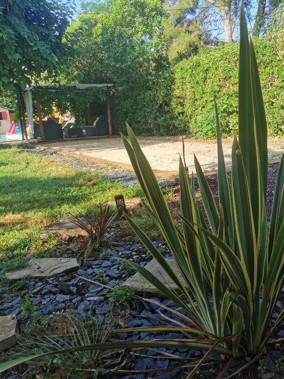 Ogród w obiekcie Dépendance cosy entre jardin et jacuzzi privés et piscine partagée