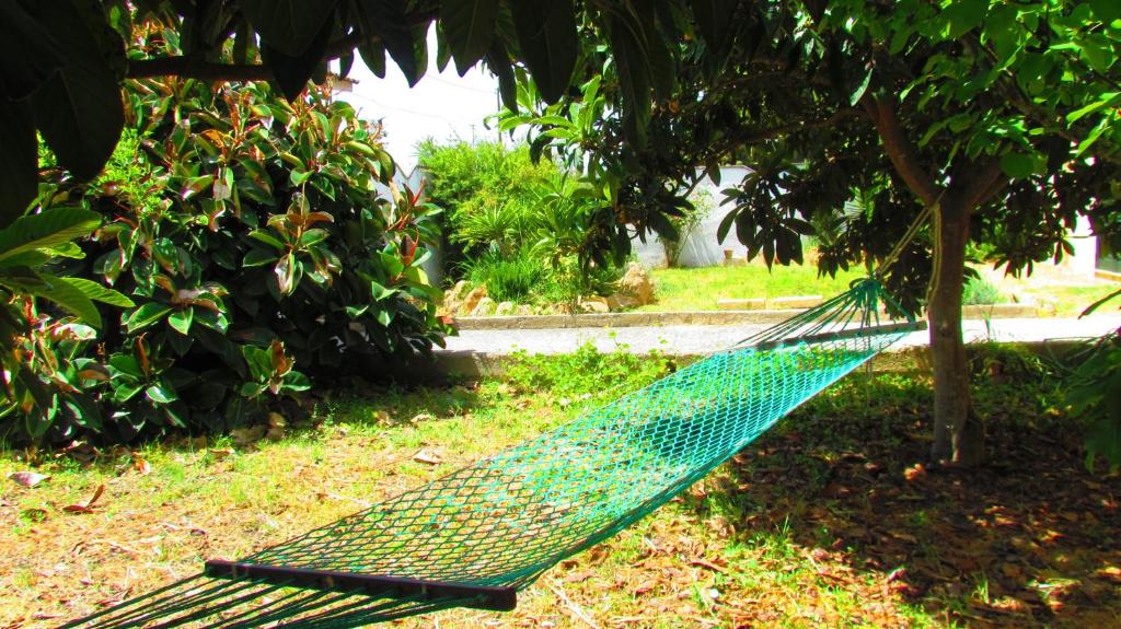 A garden outside Salento Appartamenti