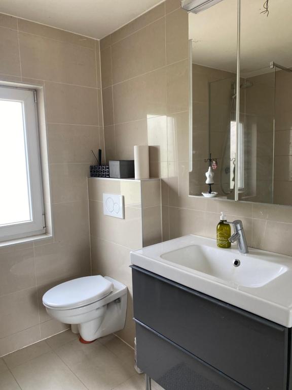 een badkamer met een wastafel, een toilet en een spiegel bij Charming rooms in green area in Sint-Martens-Latem