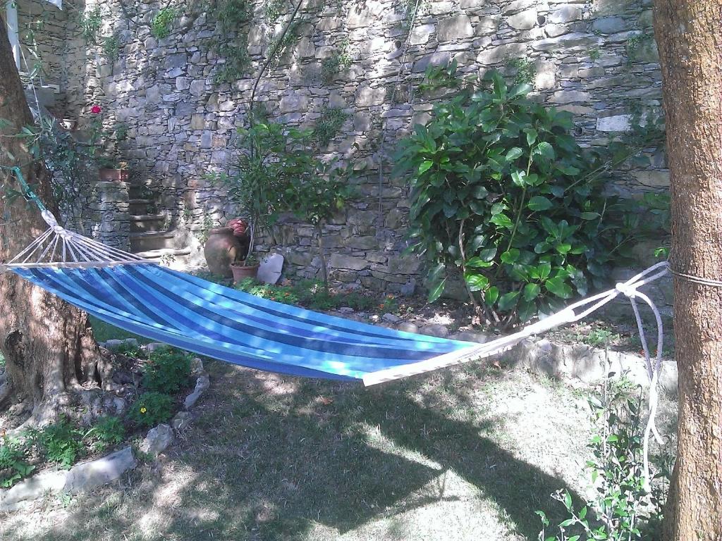 uma rede azul pendurada numa árvore num quintal em Villetta sul Mare em Camogli