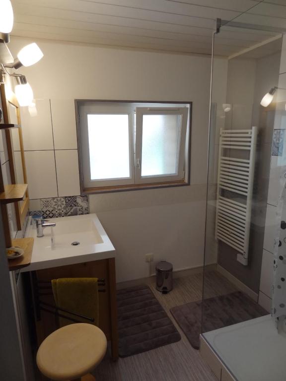 a bathroom with a sink and a shower with a window at Les Chambres de la Forêt in Juvigny-sous-Andaine
