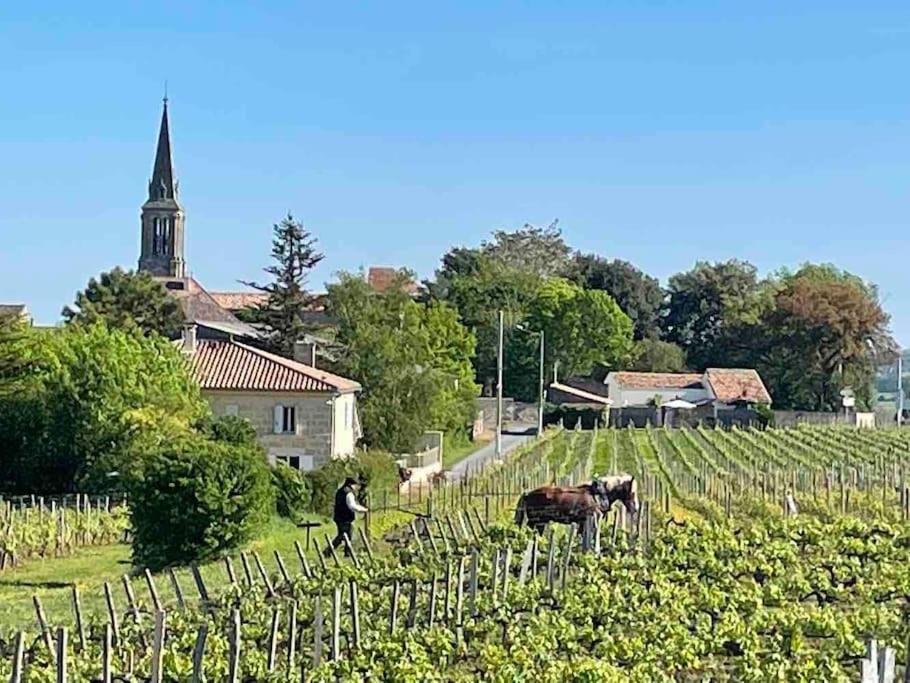 Ein Mann steht auf einem Weingut mit zwei Kühen und einer Kirche. in der Unterkunft Studio with AC, pool & garden, 2km St Emilion in Saint-Christophe-des-Bardes