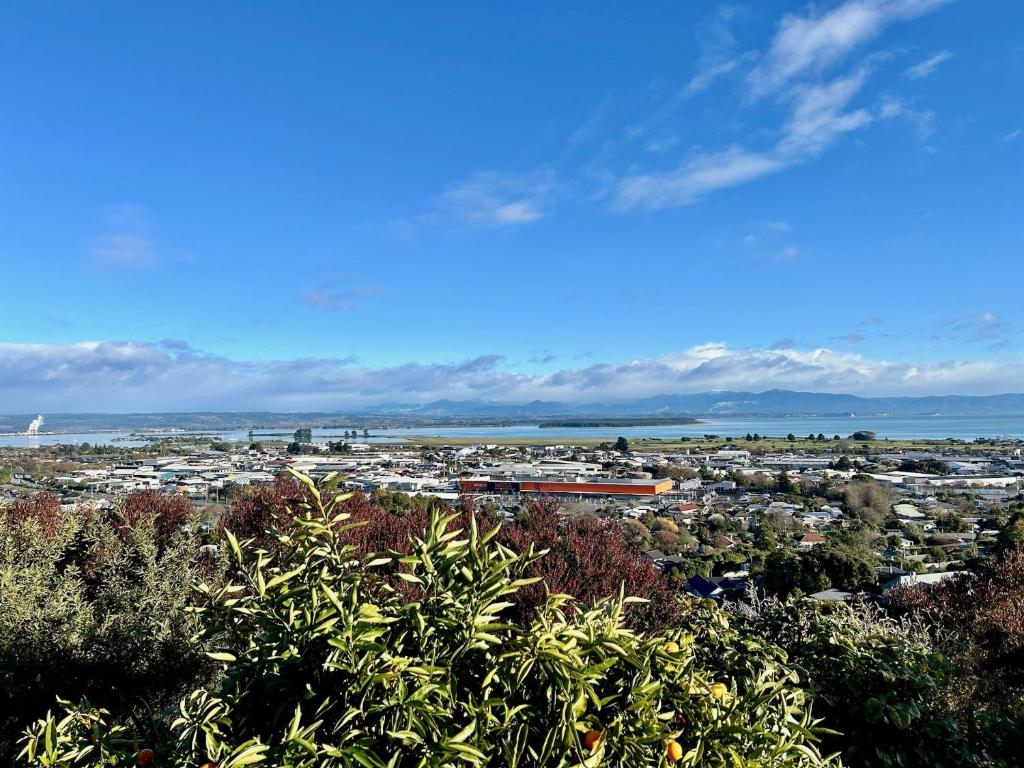 a view of a city with the ocean in the background at Pinnacle Apartment in Nelson