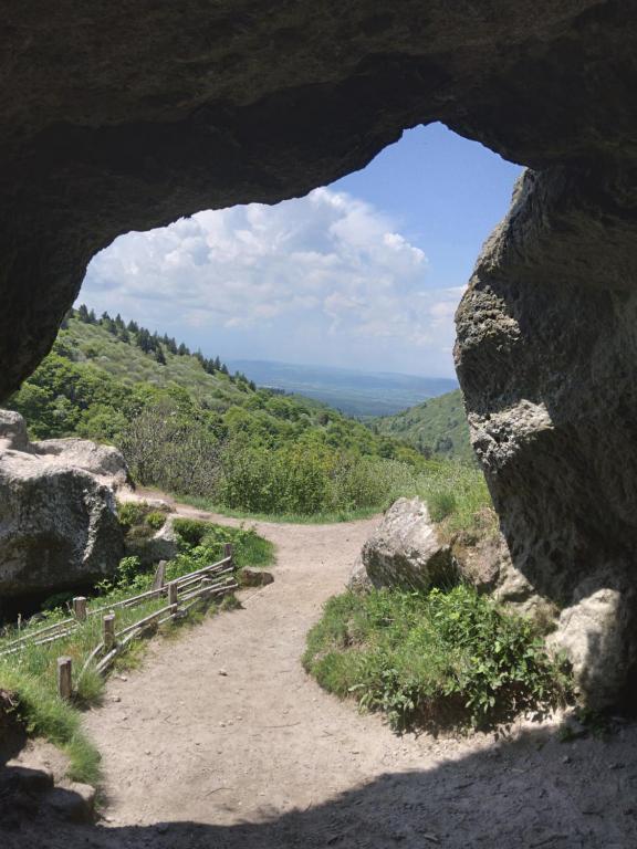 Príroda v okolí dovolenkového domu