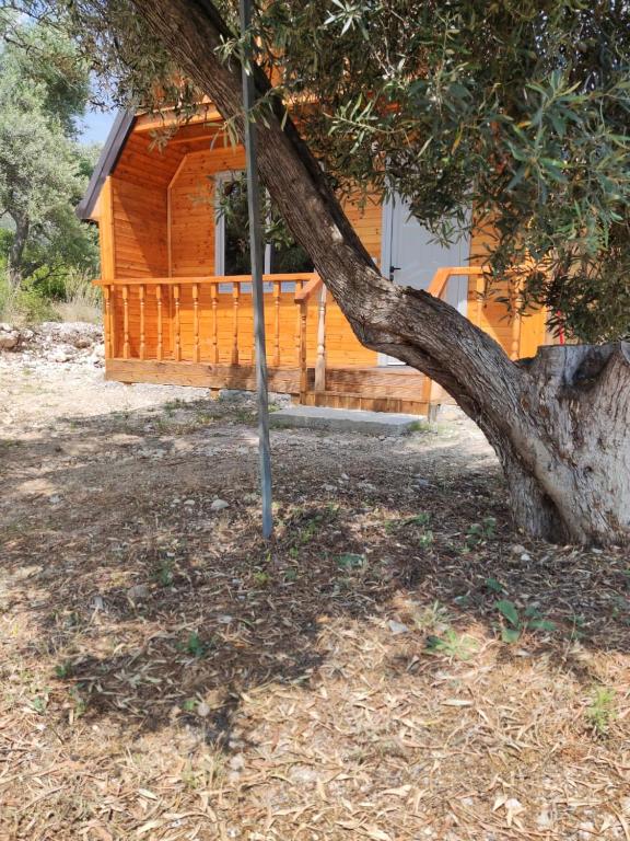 a wooden cabin with a tree in front of it at Moskato Vilas in Himare