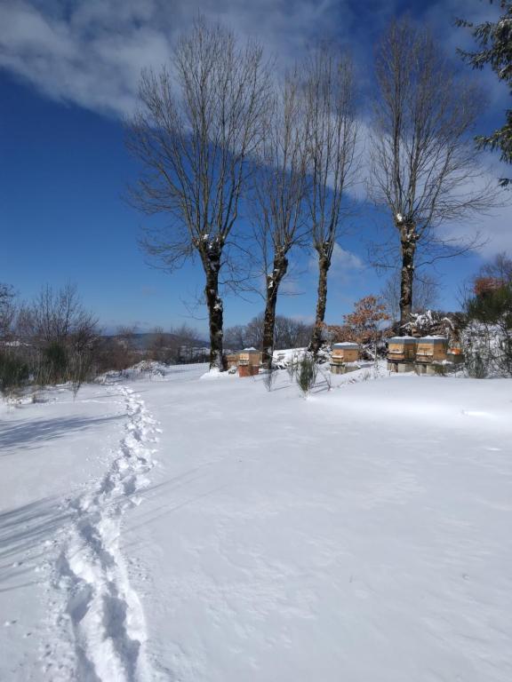 La Roucoule v zime