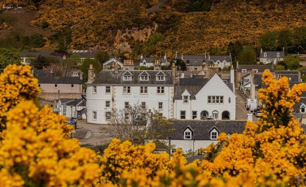 a large white house in a town with yellow trees at The Bridge Helmsdale in Helmsdale