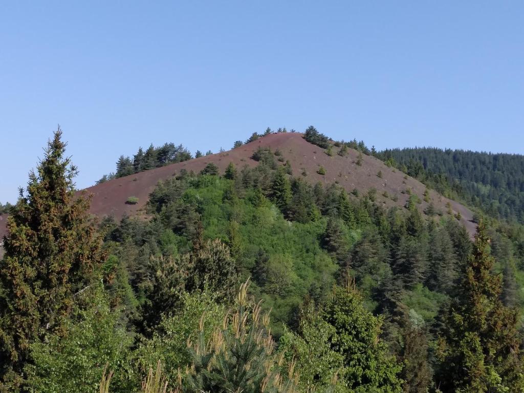Príroda v okolí dovolenkového domu