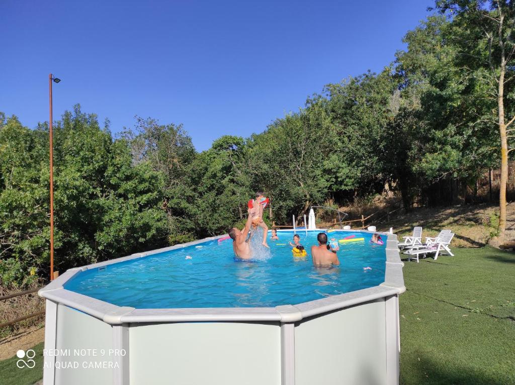 Bazén v ubytování DIMORA IL CAMALEONTE apartments in nature with pool nebo v jeho okolí