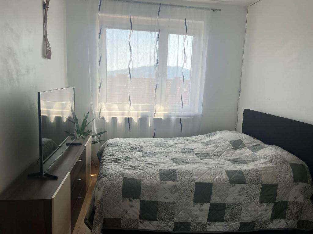 um quarto com uma cama, uma televisão e uma janela em Helle Wohnung in Linzer-Mitte em Linz