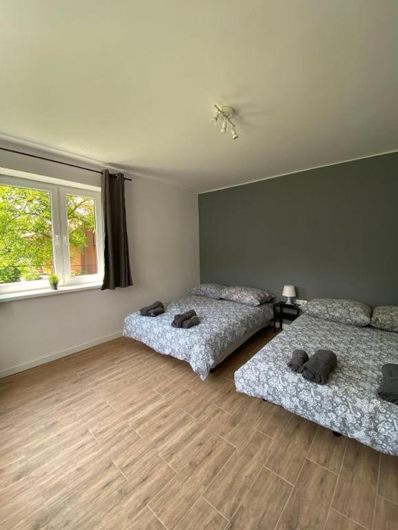 Pokoje Green House - 7