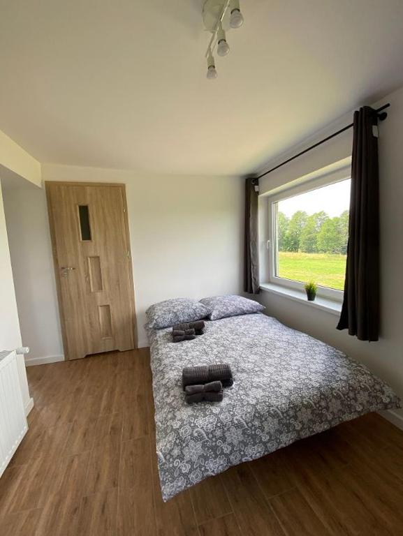 Pokoje Green House - 12