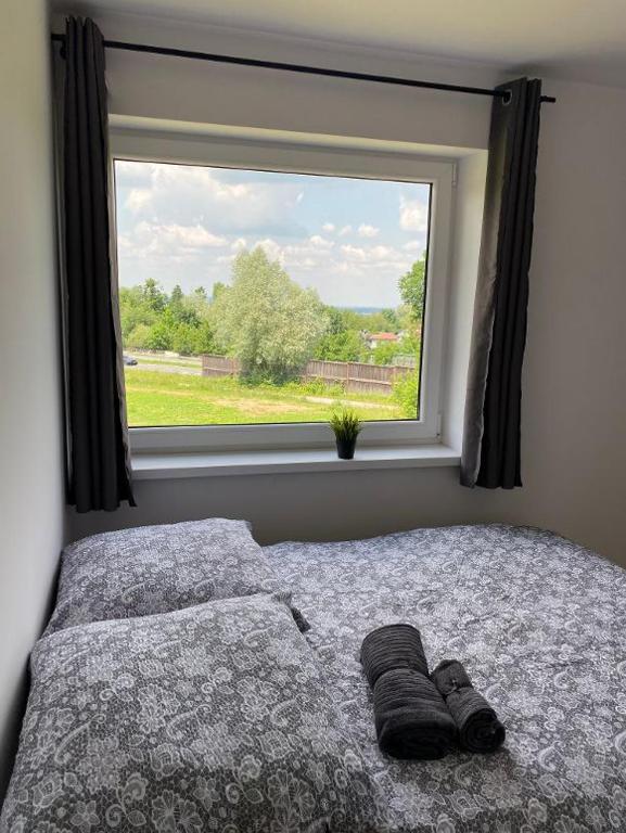 Pokoje Green House - 9