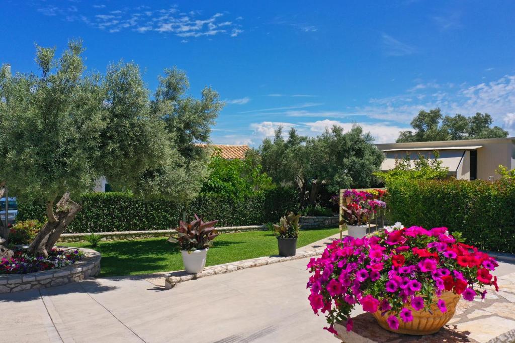 Zahrada ubytování Lefkogea Villas & Apartments