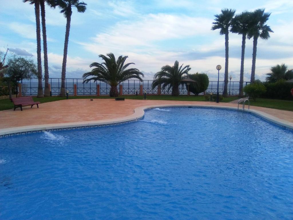 a large swimming pool with palm trees and the ocean at Aguamarina, las Calitas, frente al mar in Orihuela Costa