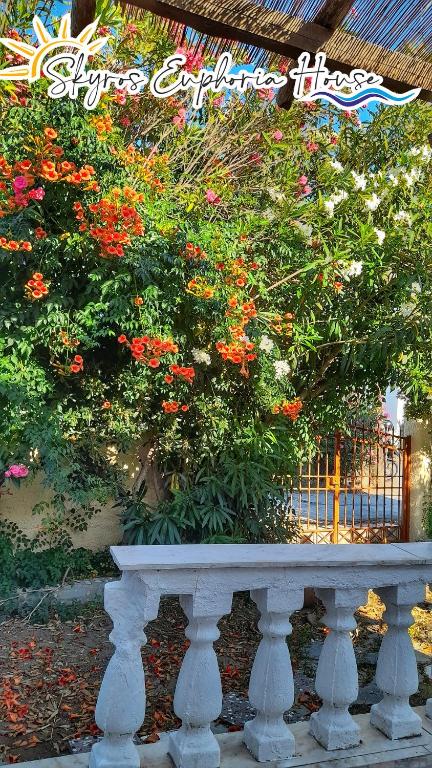 Ogród w obiekcie Skyros Euphoria House