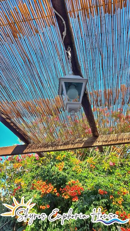 Ogród w obiekcie Skyros Euphoria House