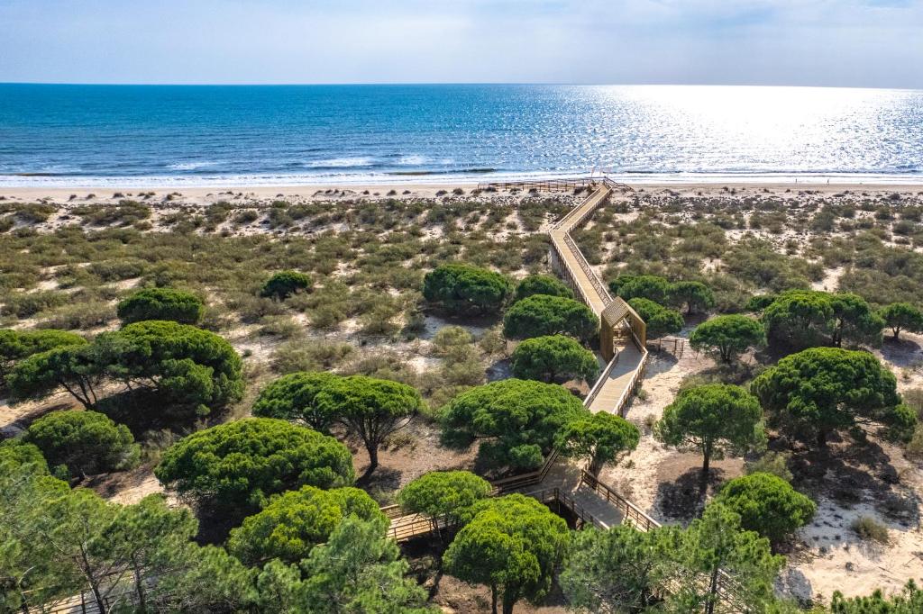 an aerial view of a beach with trees and the ocean at Verdelago Resort in Praia Verde