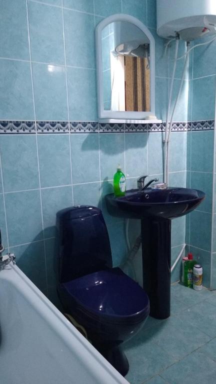 Koupelna v ubytování Дом-House в Vadul lui Voda