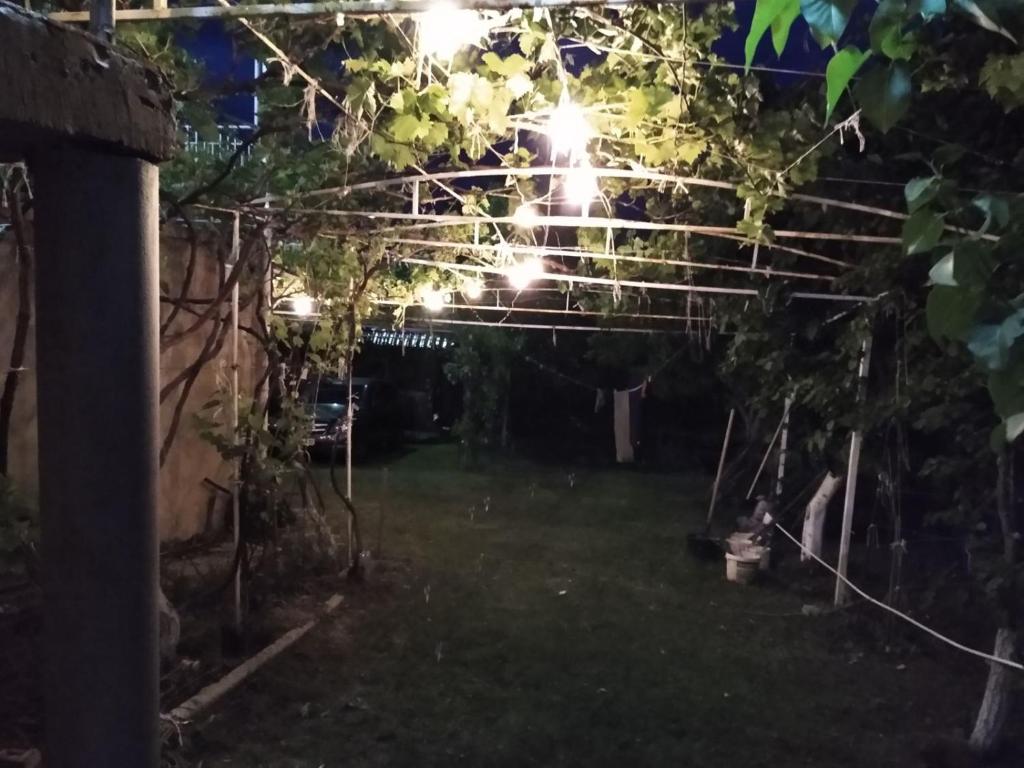 Zahrada ubytování Дом-House в Vadul lui Voda