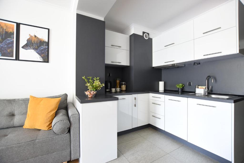 Kuchyň nebo kuchyňský kout v ubytování Apartament Przemiły - Studio Tęczowe Wzgórze
