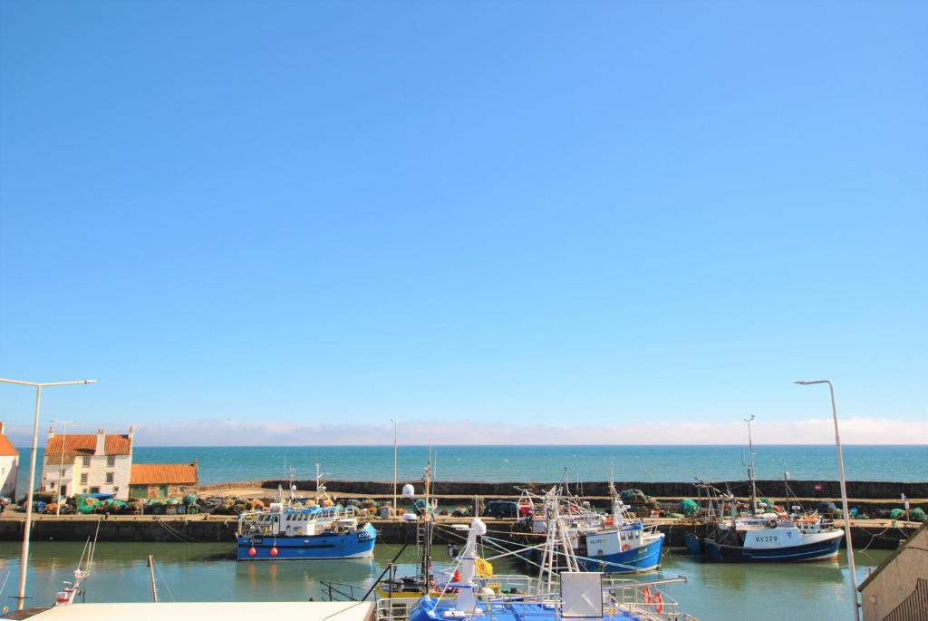 a group of boats docked in a harbor at May View in Pittenweem
