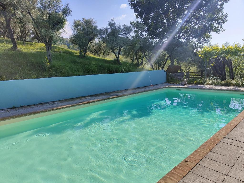 een zwembad met een sprinkler bij Number 21 in Mogliano