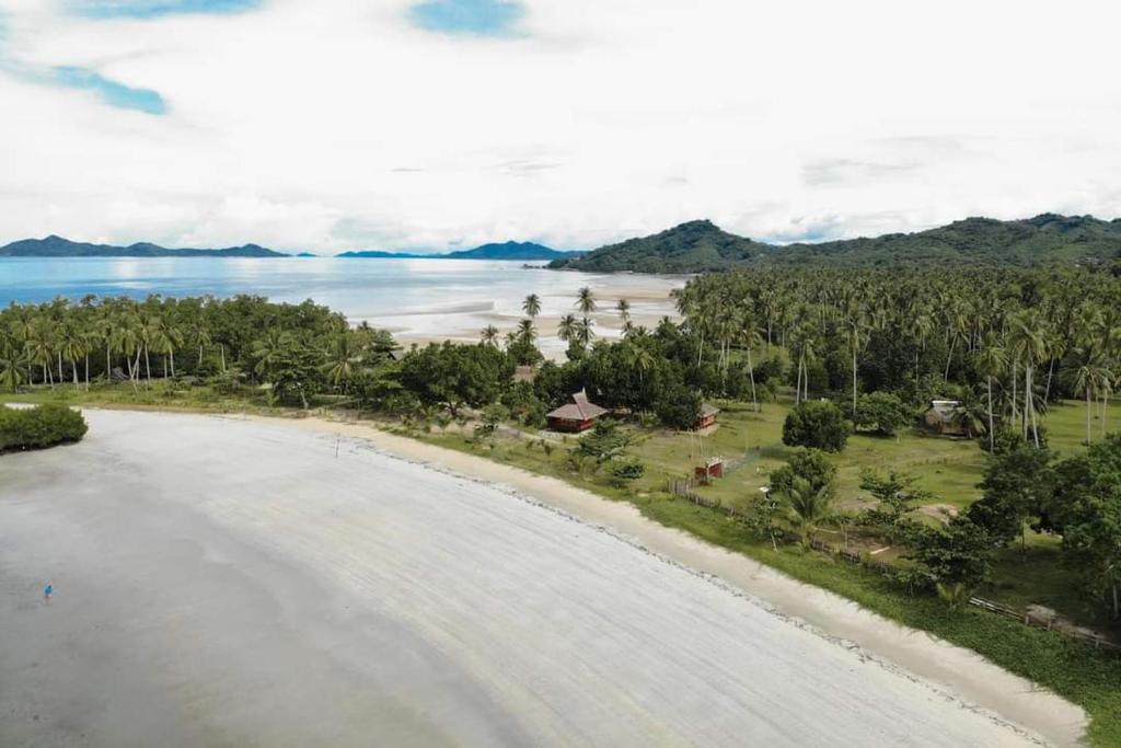 an aerial view of a beach with trees and water at La Tranquilidad Beach Club 
