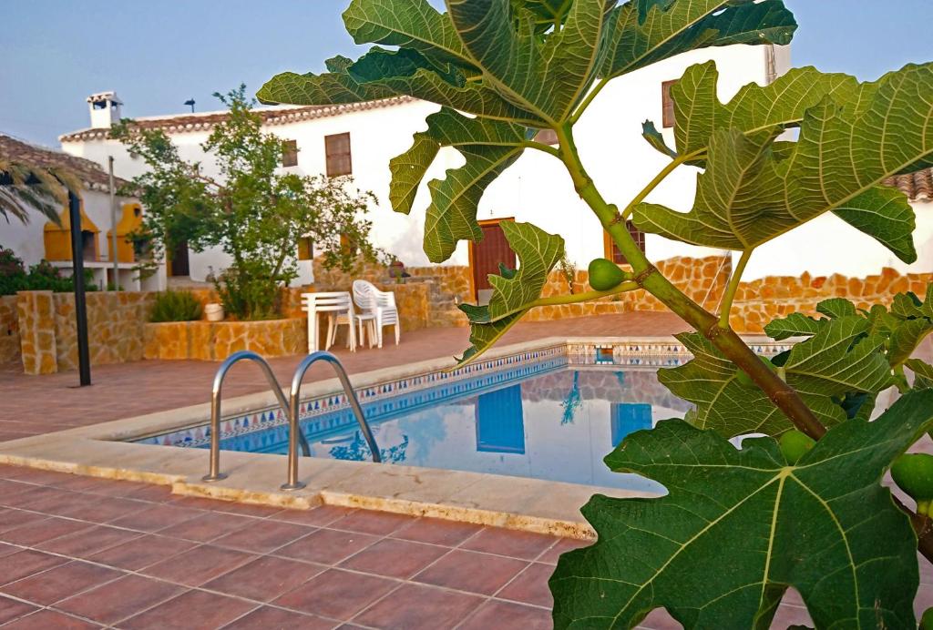 Villa con piscina frente a una casa en Gîte rural 100 % authentique (8 pers) avec piscine, en Los Arenales