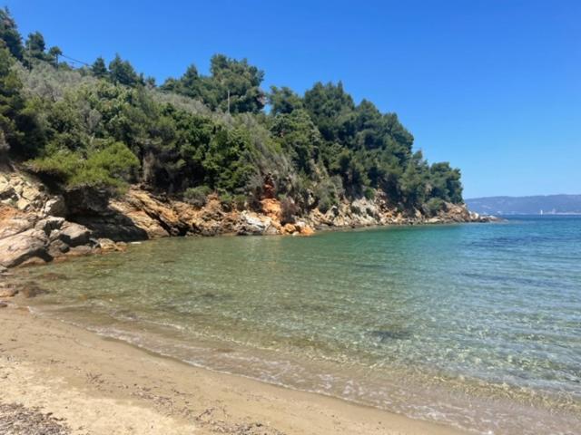 a beach with a bunch of trees and the water at Κατηγιώργης Ξενώνας Ρεγγίνα in Agios Georgios