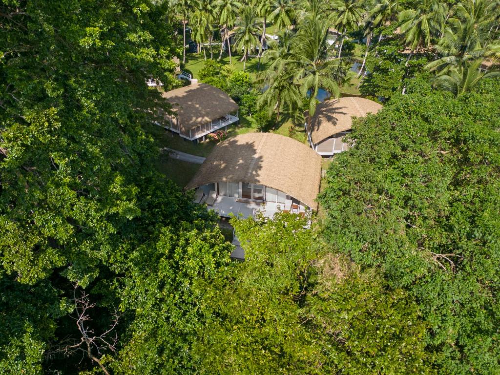 an overhead view of a group of huts in the trees at Taj Exotica Resort & Spa, Andamans in Havelock Island