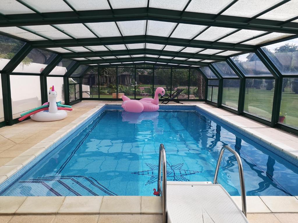 Chambre chez particulier avec petit déjeuner, piscine, pool house的游泳池,游泳池内有粉红色的橡皮鸭