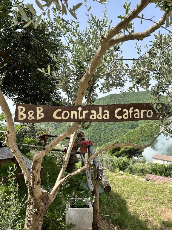 Contrada Cafaro - 7