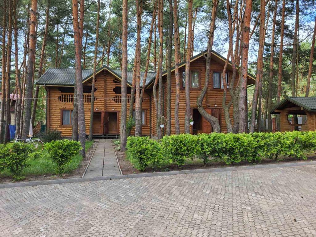 una cabina in legno in mezzo a una foresta di База відпочинку Діана a Szack