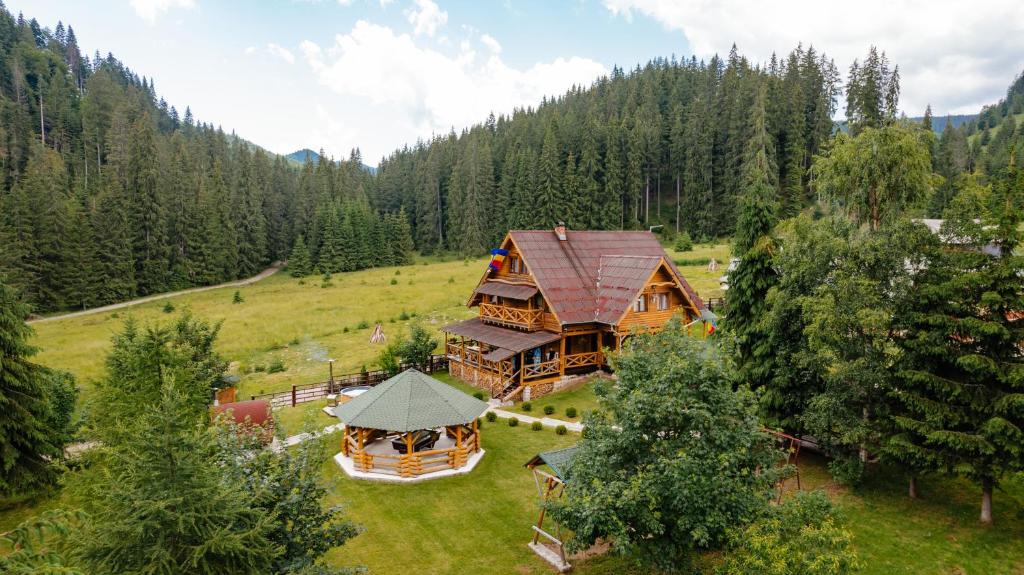 una vista aerea di una grande casa in un campo di ViiLa Munte Călimani a Topliţa