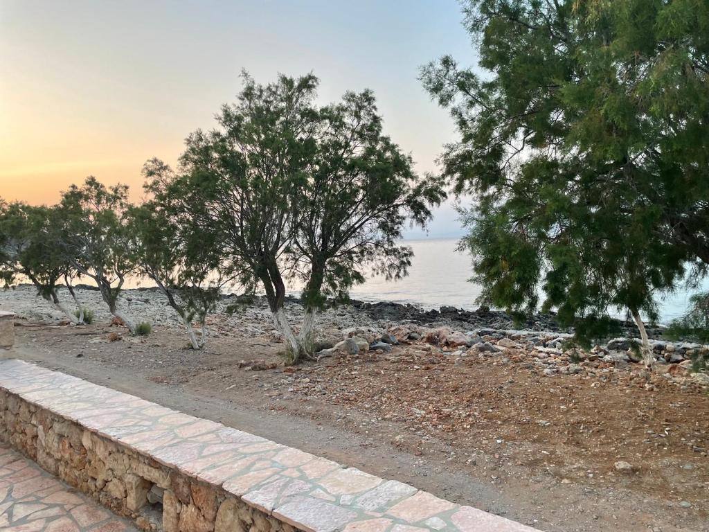 a walkway next to a beach with trees at Diakofti house by the sea - Kythoikies hoilday houses in Kythira
