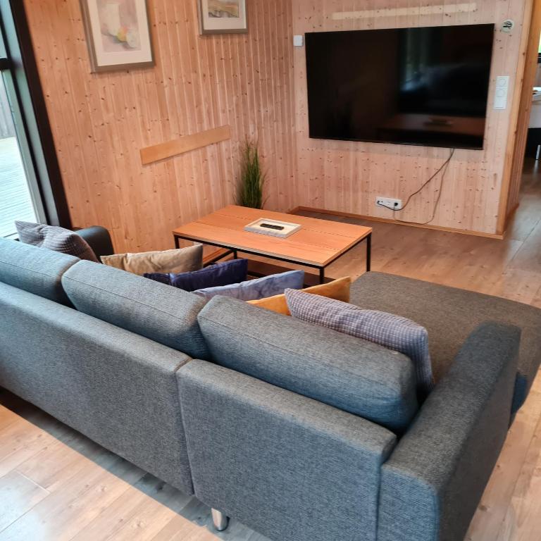 Sjónvarps- og/eða afþreyingartæki á Minniborgir Cabins