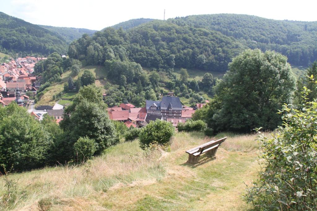 Příroda nedaleko penzionu