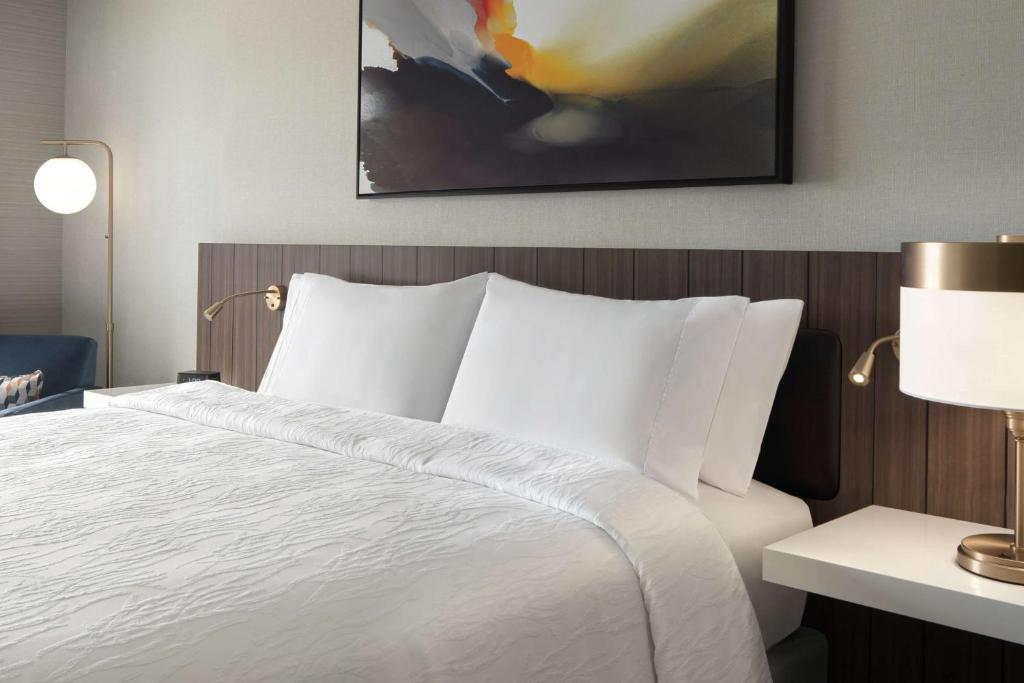 Hilton Garden Inn Camden Waterfront Philadelphia - Room King Con Vista Al Río