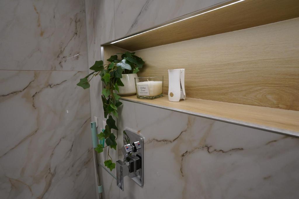 un estante en un baño con un dispensador de jabón en The Zen Den, en Cluj-Napoca